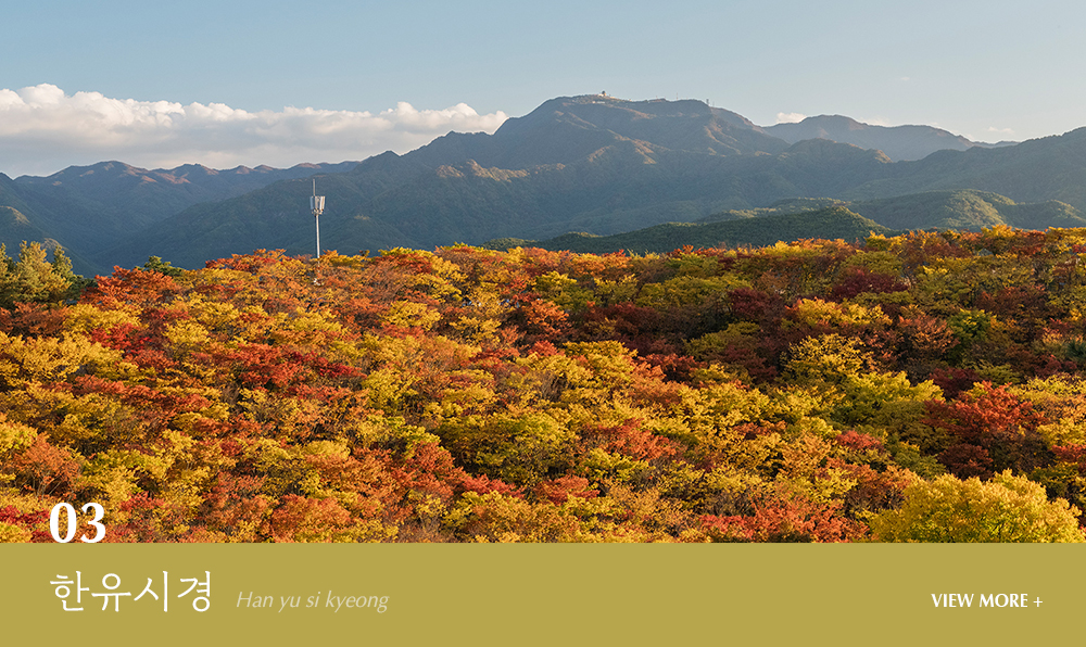 한유시경