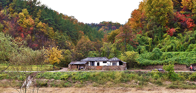 리틀포레스트 촬영지