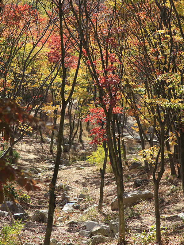 한유시경